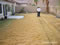 My Gallery: Image